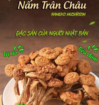 Nấm Trân Châu